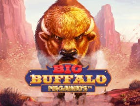 Big Buffalo Megaways logo by Skywind Group at Wolf CasinoBig Buffalo Megaways